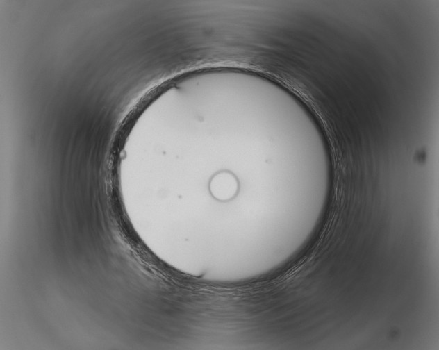 X0000115250676200912111117