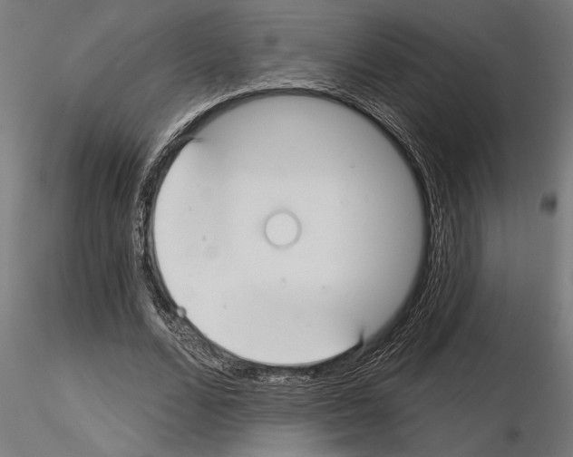 X0000115250680200912111117