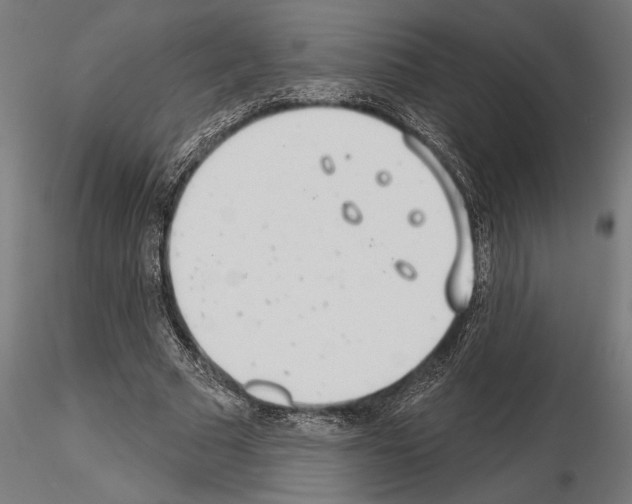 X0000115250681200912111117