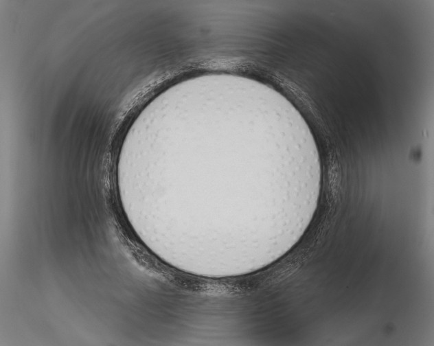 X0000115250682200912111117