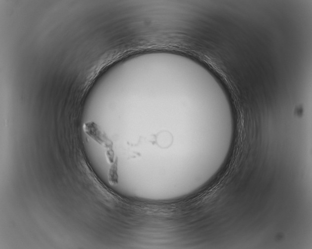 X0000115250685200912111117