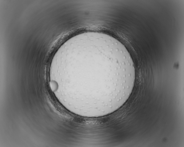 X0000115250686200912111117