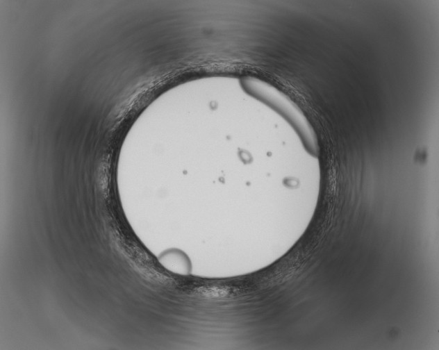 X0000115250687200912111117