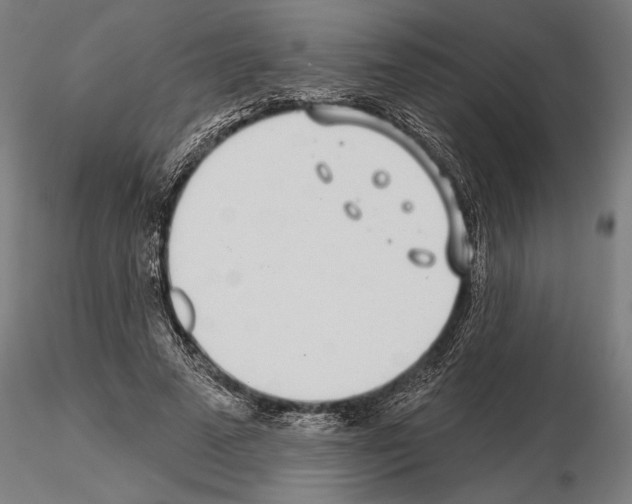 X0000115250689200912111117