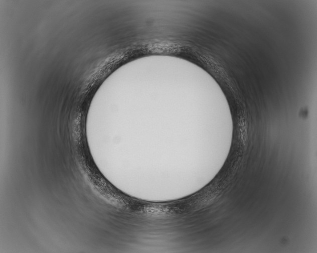 X0000115250690200912111117