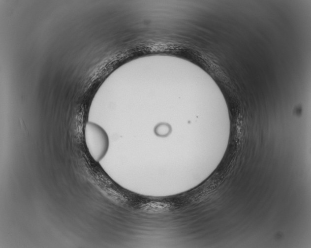 X0000115250691200912111117