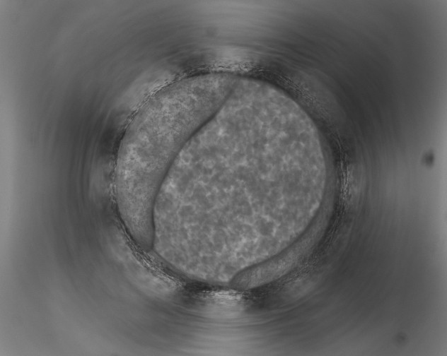 X0000115250692200912111117