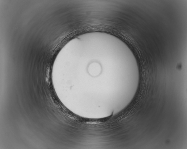 X0000115250693200912111117