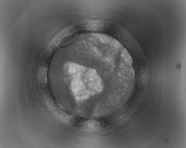 X0000115250696200912111117