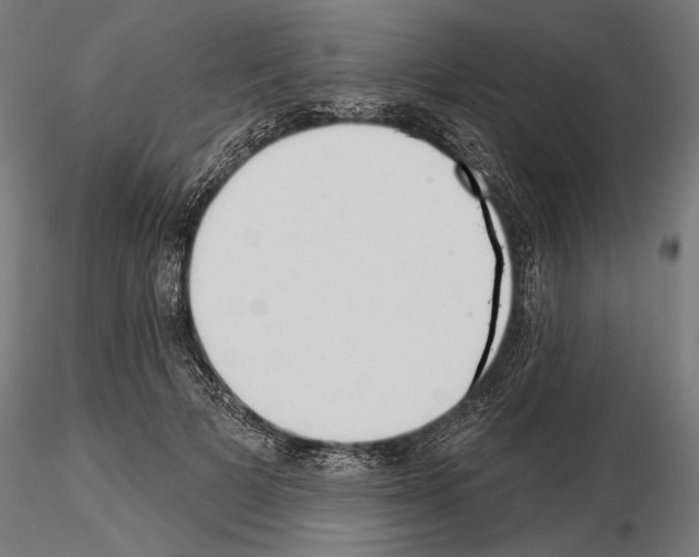 X0000115250697200912111117