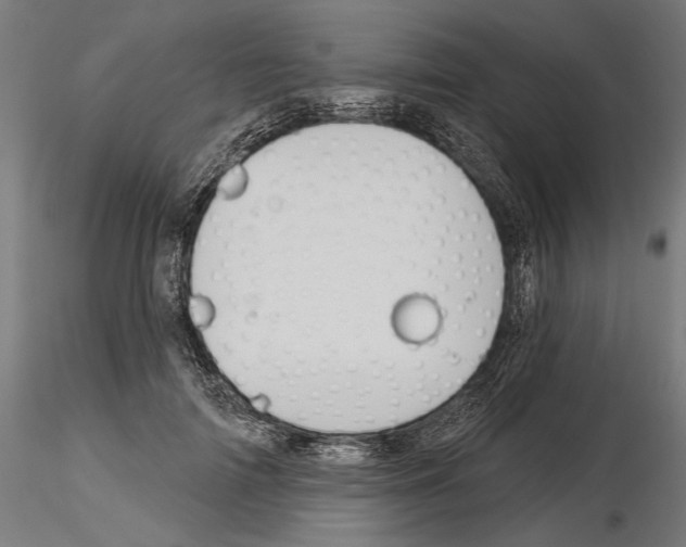 X0000115250698200912111117