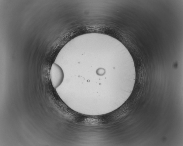 X0000115250699200912111117