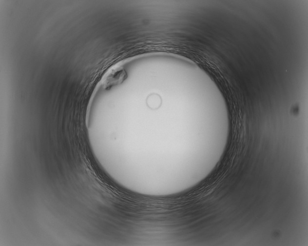 X0000115250700200912111117