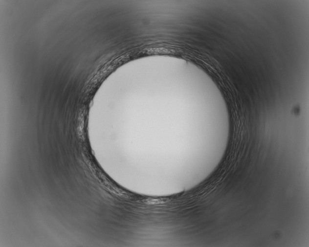 X0000115250701200912111117