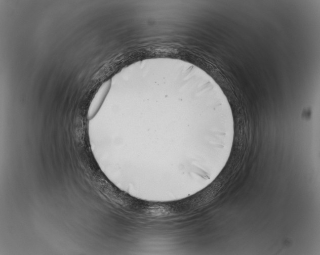 X0000115250704200912111117