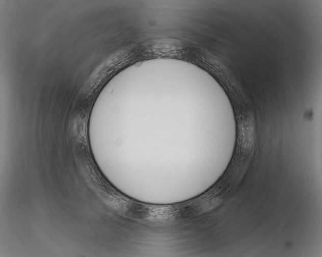 X0000115250705200912111117