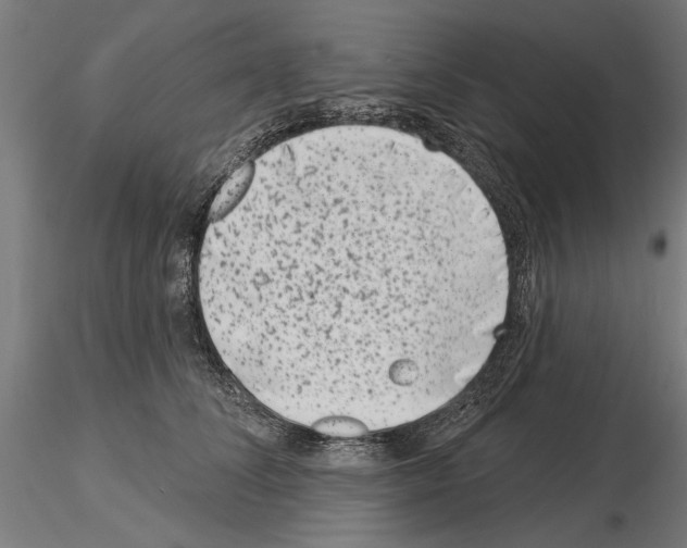 X0000115250708200912111117