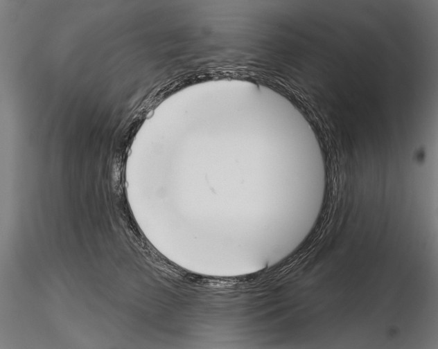 X0000115250709200912111117