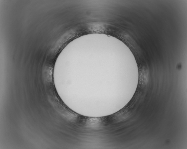 X0000115250717200912111117