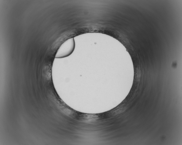 X0000115250719200912111117