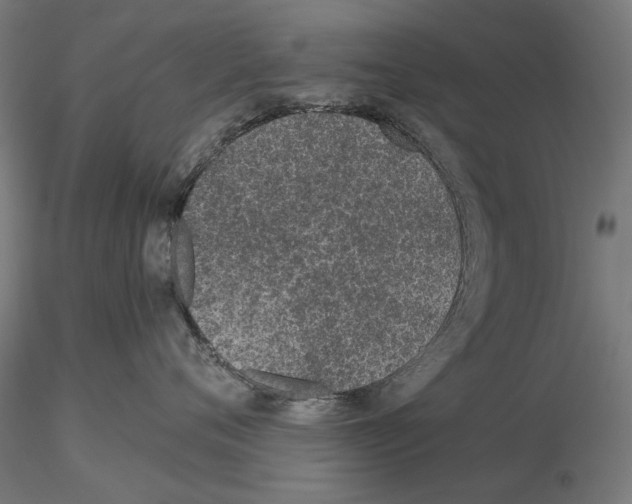 X0000115250720200912111116