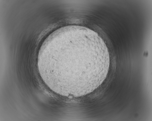 X0000115250721200912111116