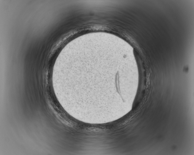 X0000115250722200912111116