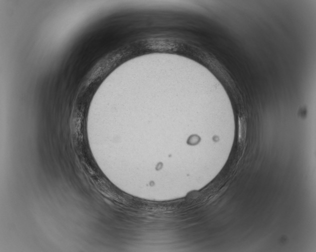 X0000115250723200912111116