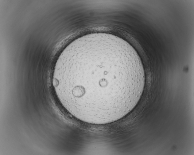 X0000115250725200912111116