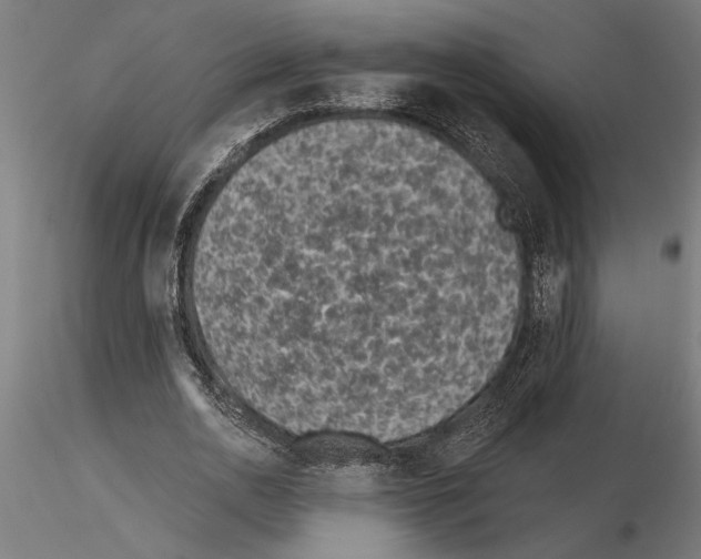 X0000115250726200912111116