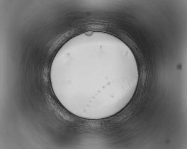 X0000115250729200912111116