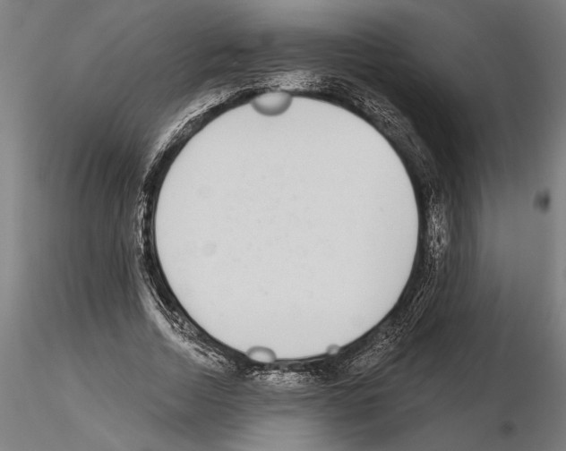 X0000115250730200912111116