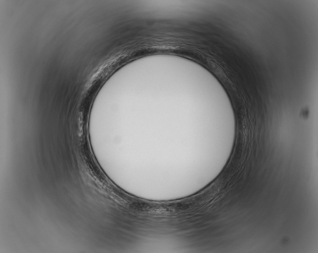 X0000115250731200912111116