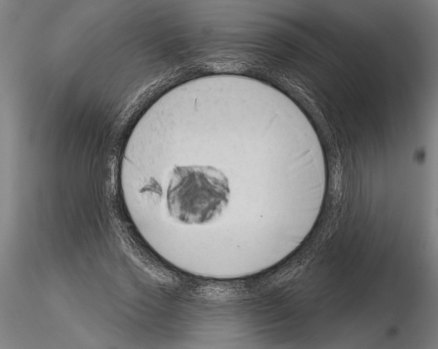 X0000115250733200912111116