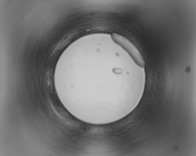 X0000115250734200912111116