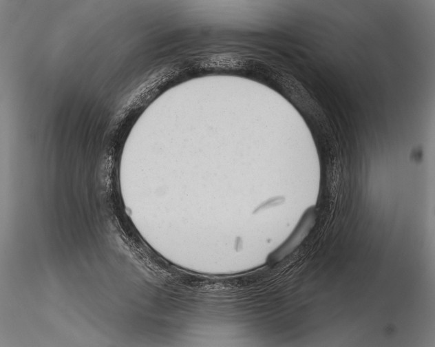 X0000115250735200912111116