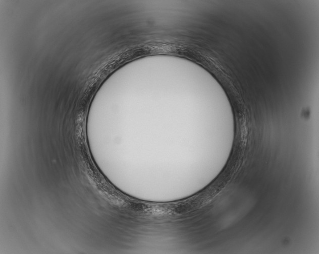 X0000115250737200912111116