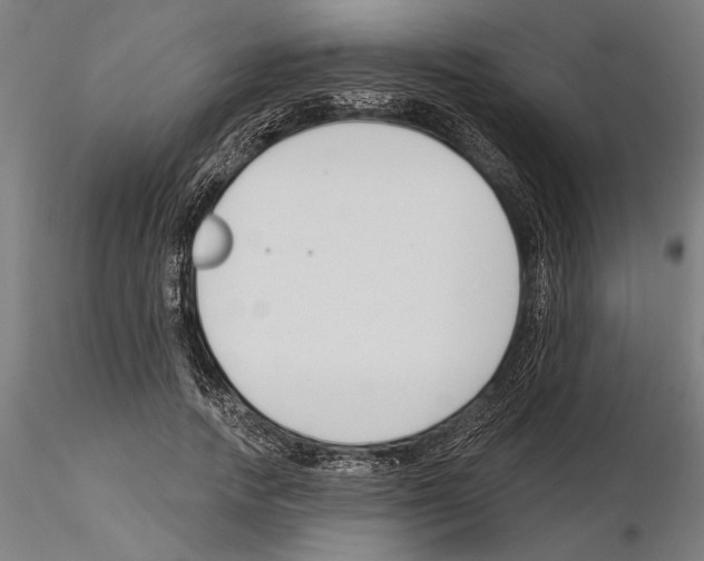 X0000115250738200912111116