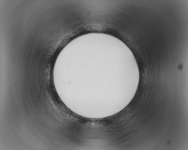 X0000115250739200912111116