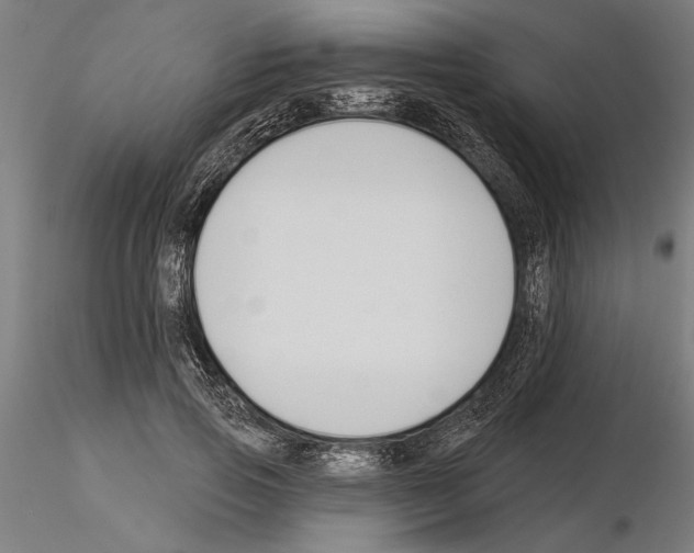 X0000115250741200912111116