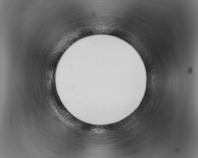 X0000115250742200912111116