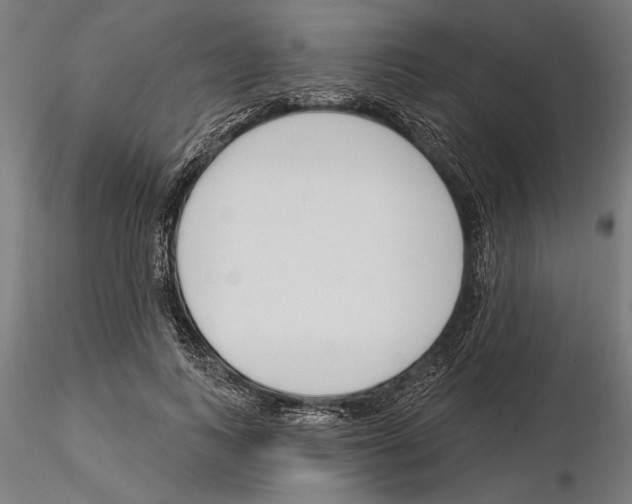 X0000115250743200912111116