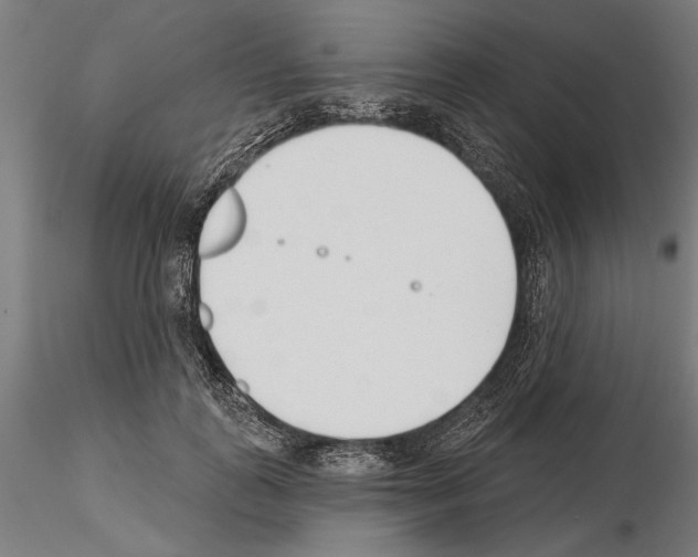 X0000115250747200912111116