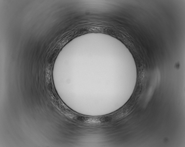 X0000115250749200912111116