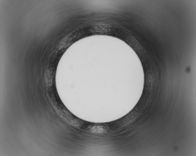 X0000115250751200912111116