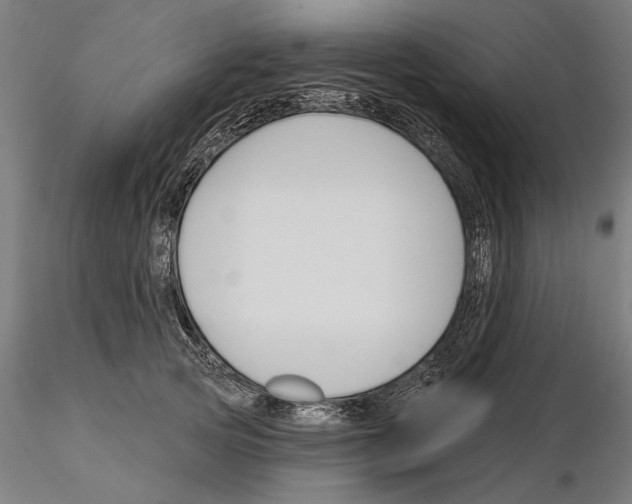 X0000115250753200912111116