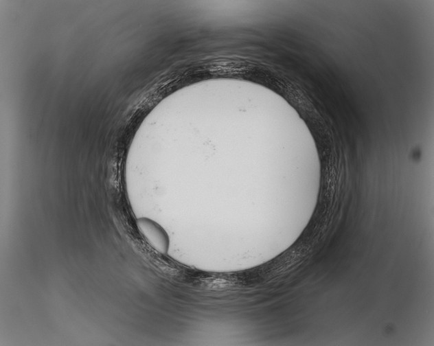 X0000115250755200912111116