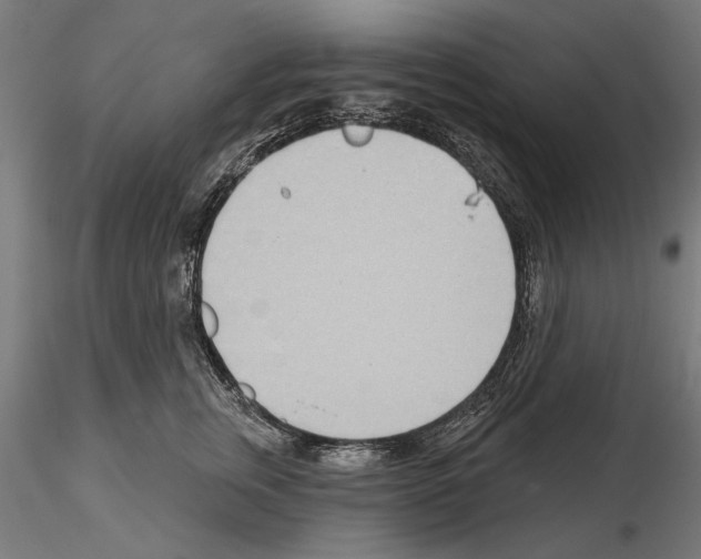 X0000115250759200912111116