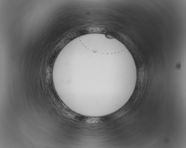 X0000115250761200912111116