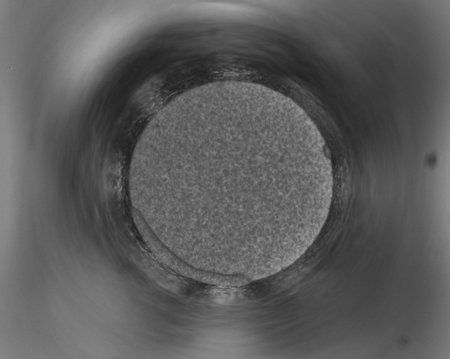 X0000115250762200912111116